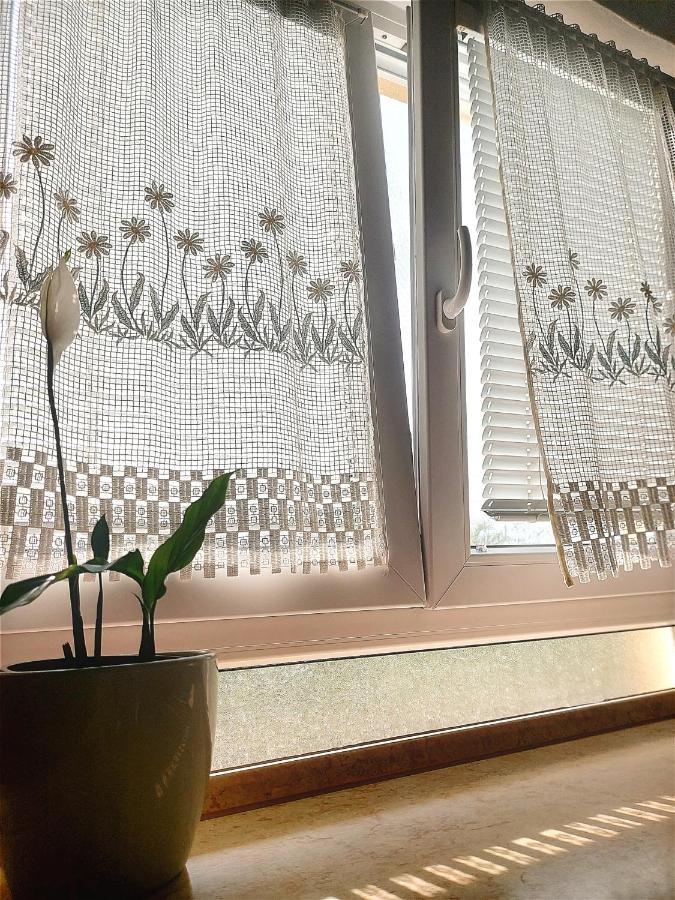 Apartma_Samy Izola Luaran gambar